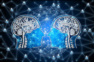 九游登录入口-篮球专项技能动作视频资源开发及多媒体教学，篮球动作技术