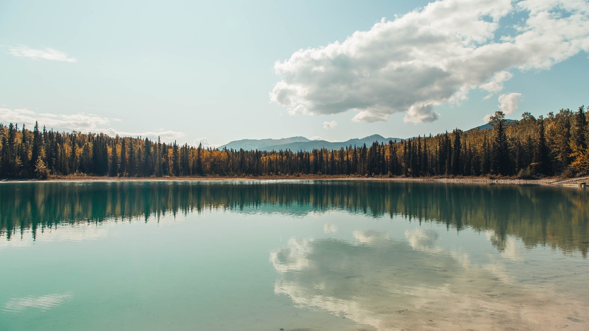 CBA联赛观众人数创新高 篮球热度持续升温，cba场均观众