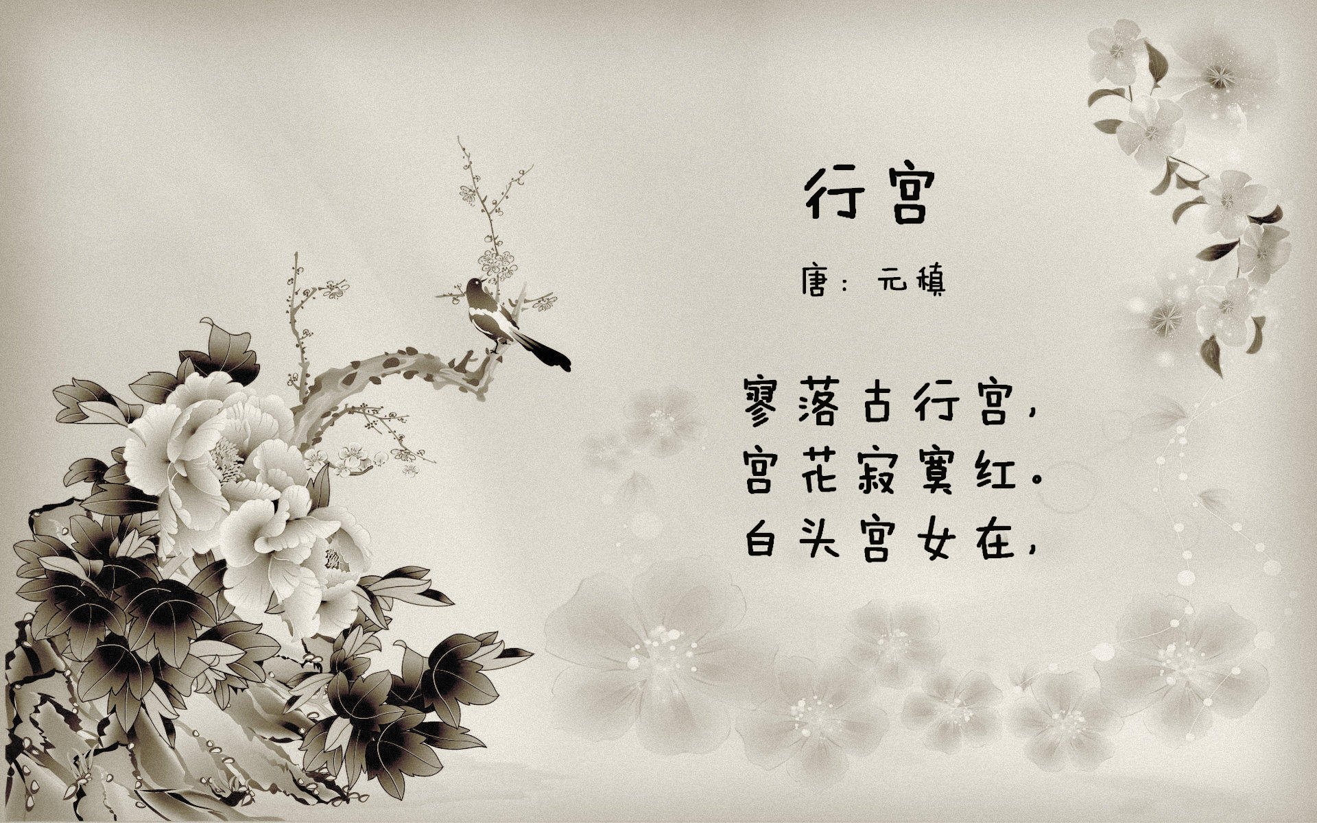 凯恩·瑞安:在场上不断完善自我,逐渐成为全黑队的不可或缺球员