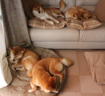 JIUYOU GAMING-卢卡斯·梅尔滕斯游出个人赛季巅峰，卢卡·梅西纳斯