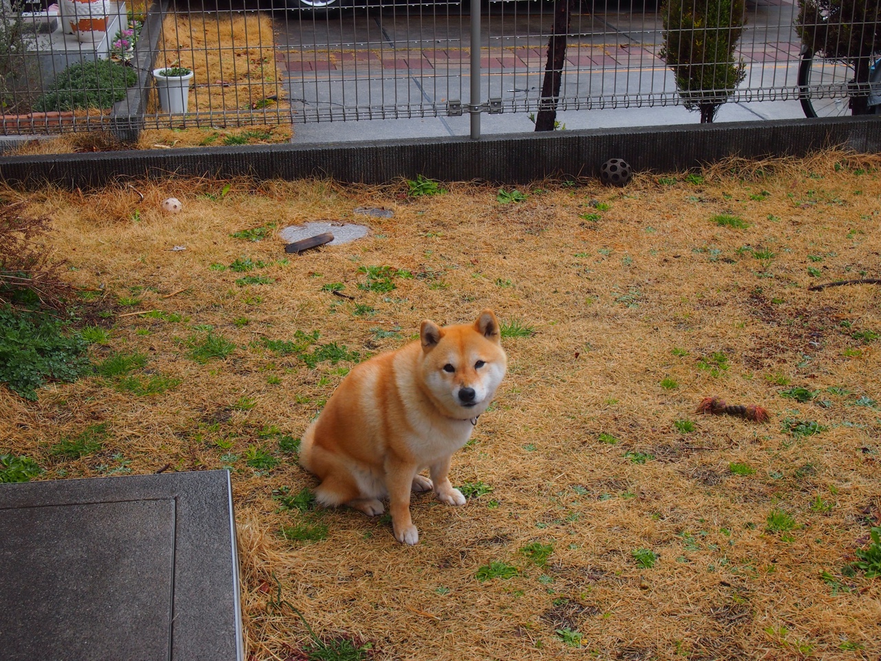 九游娱乐中心-弗朗索瓦·霍尔茨豪伊泽：突破防线无所畏，展现南非队的多样进攻方式