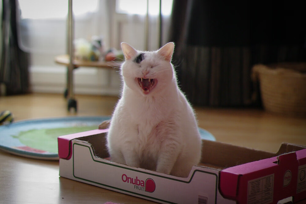 九游官网主页-欧洲高水平俱乐部联赛，意大利球队爆冷夺冠，现场火爆异常，意大利欧国联赛战绩