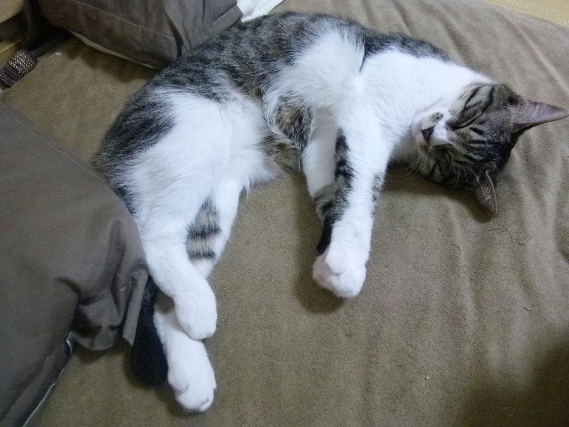 九游娱乐(jiuyou)官方网站-英超球队的财务精准分析，英超球队盈利